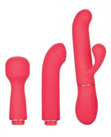 In Touch Passion Trio Pink Vibrator Kit - SE444420