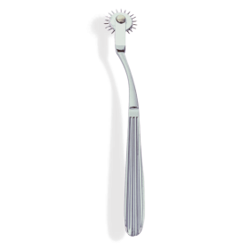 Terra- The Ultimate BDSM Pinwheel and Wartenberg Wheel - Silver