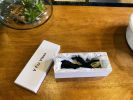 Agrippina Ã¢â‚¬â€œ Waterproof Rabbit Vibrator - Black